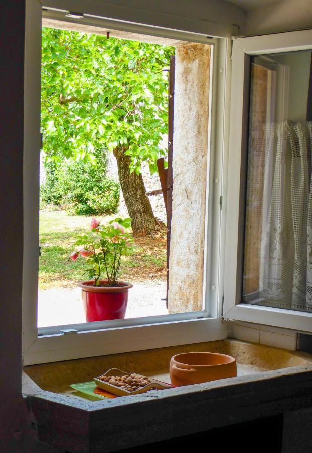 Willa Casa Istriana Nona Pina Kaštelir Zewnętrze zdjęcie